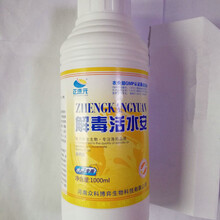 世連健康集團 引領(lǐng)食品銷售新潮流，守護全民健康生活