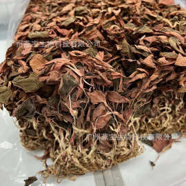 金線蓮500藥品批發指南 選購、優勢與市場前景