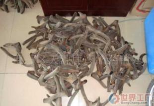 批發(fā)優(yōu)質梅花鹿茸 醫(yī)藥與保養(yǎng)領域的珍品