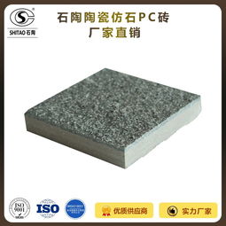 專業制造，堅固耐用 18mm陶瓷仿花崗巖路面磚引領戶外鋪裝新潮流